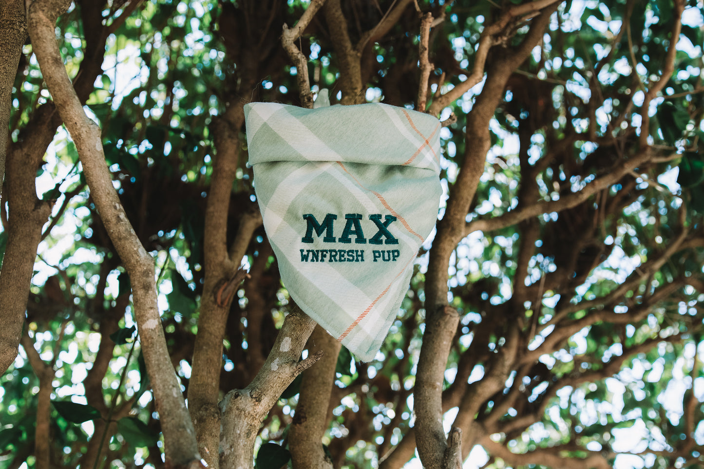Holiday Embroidered Bandana (WnF x Miimoki Art)