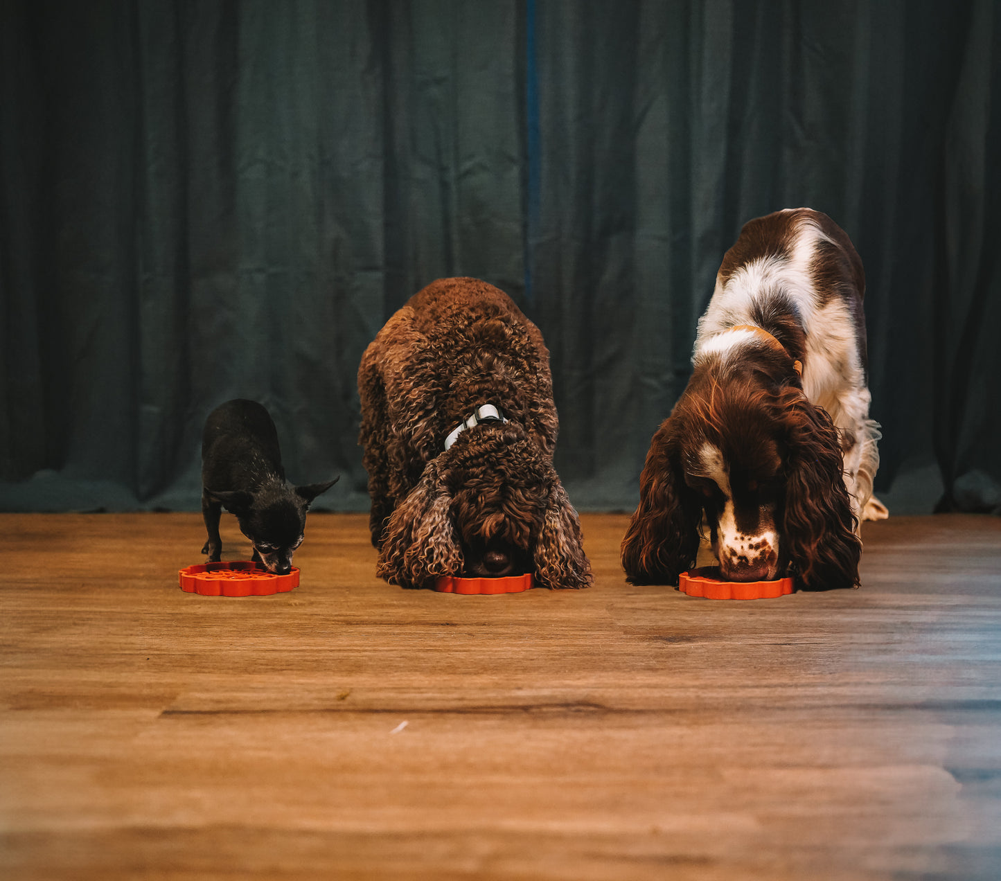 Mini Mooncake Grub Mat