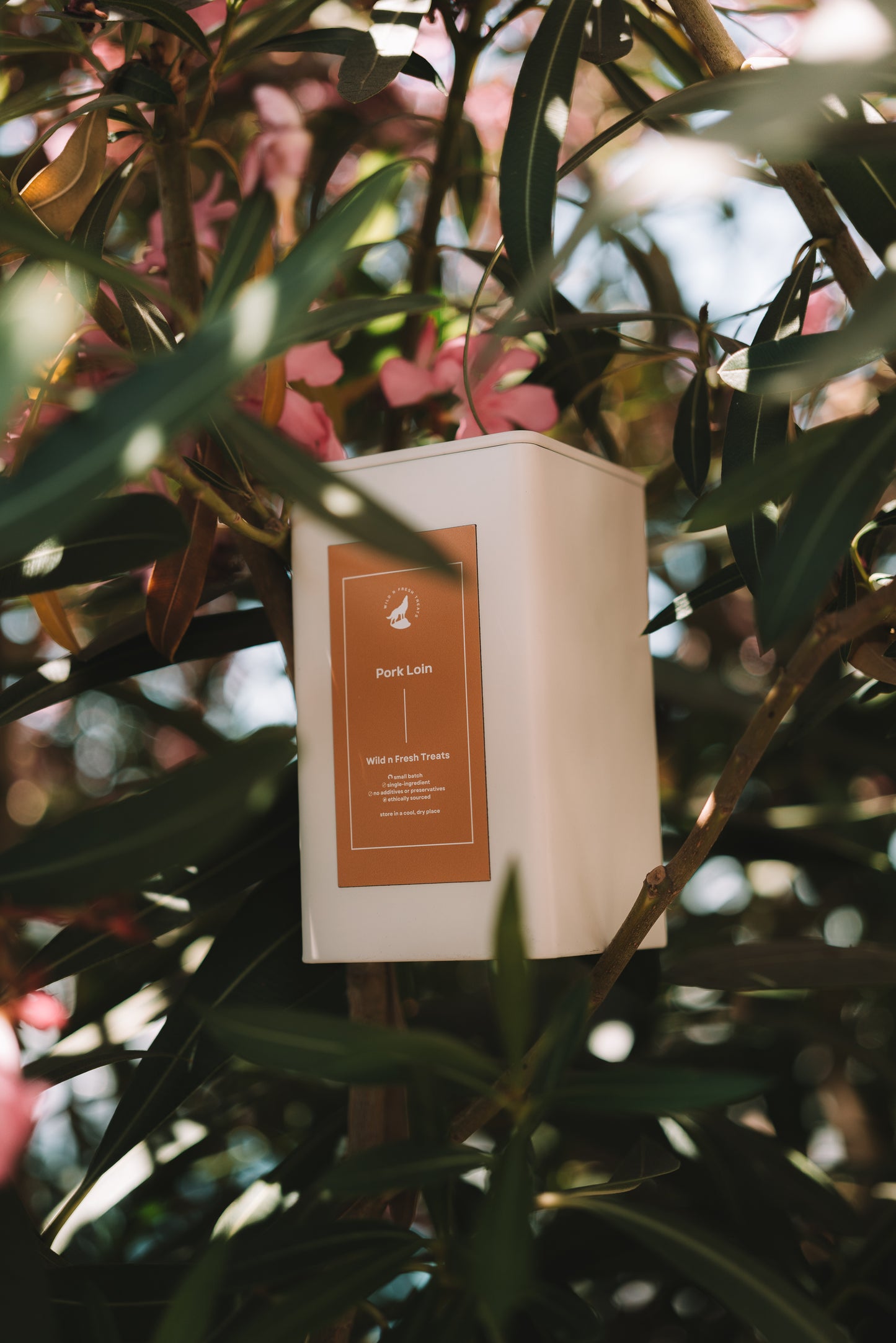 Dehydrated Pork Loin - All-Time Favorites Treat Jar Collection