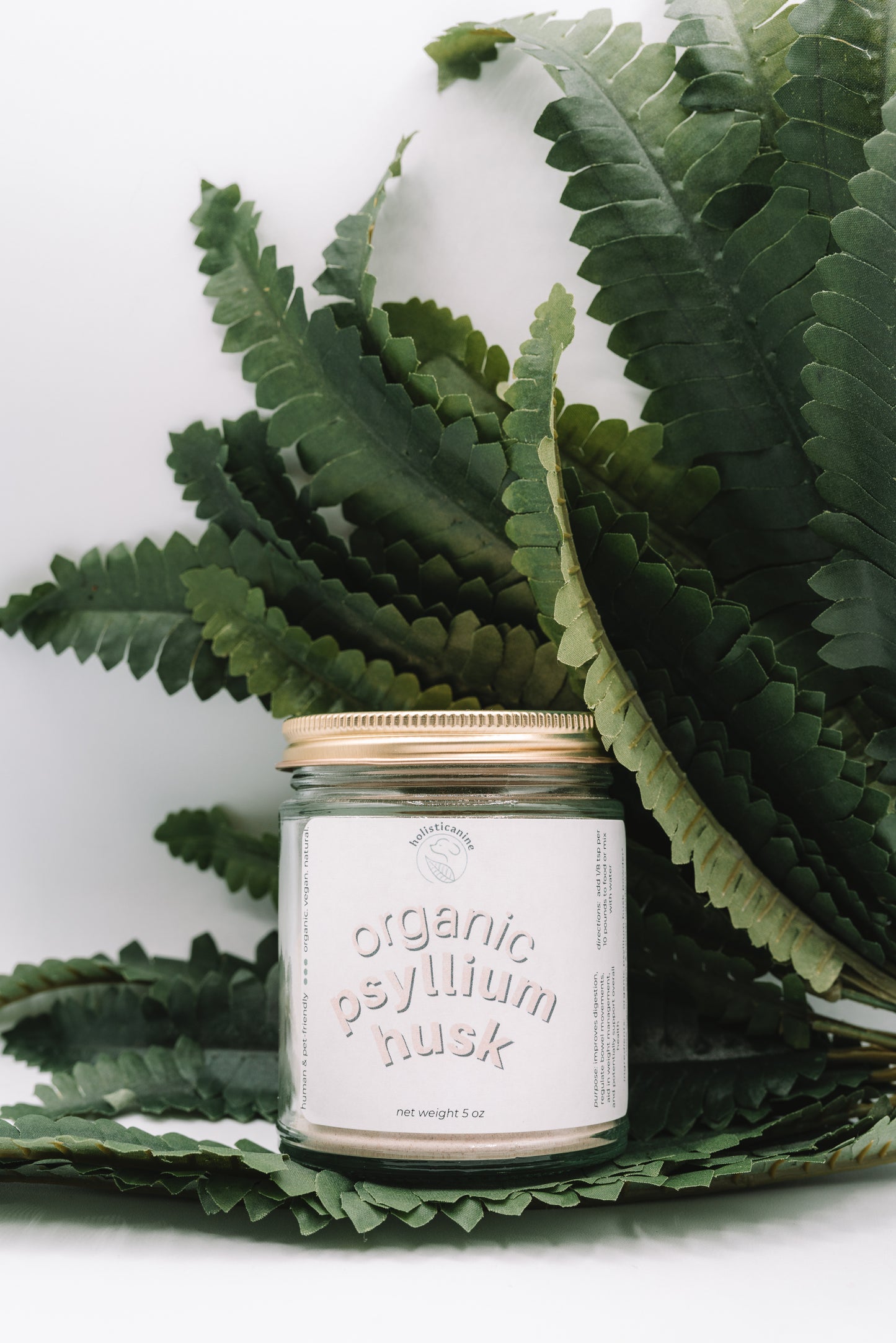 Holisticanine Organic Psyllium Husk Supplement | Gastrointestinal Tract Health