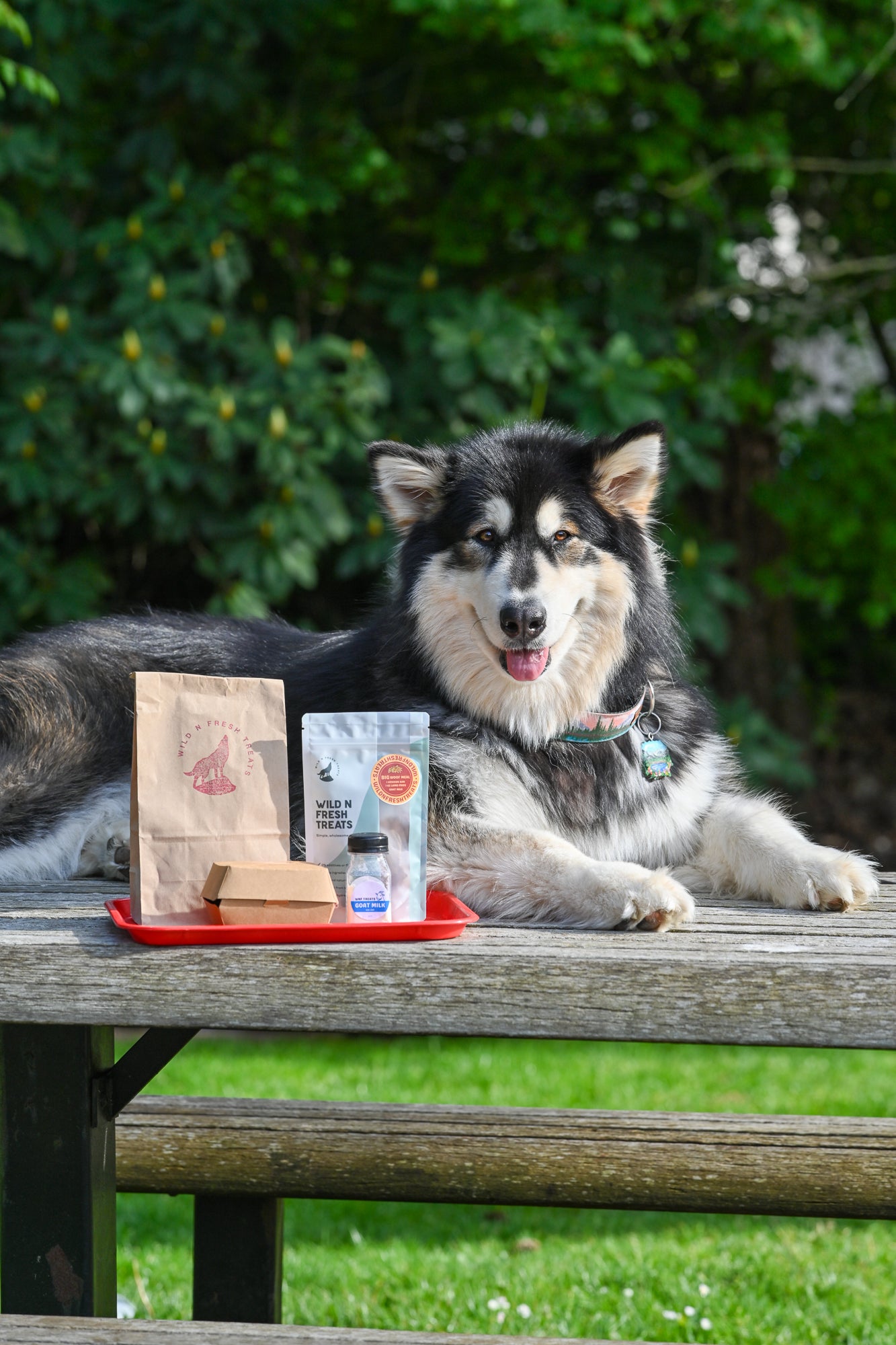Big Woof Meal Fast Food Grab Bag