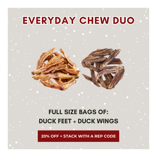 Everyday Chew Duo
