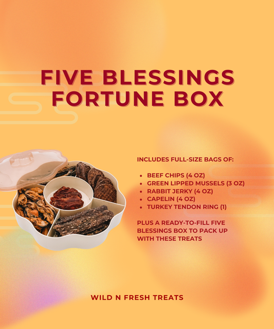 Five Blessings Fortune Box - Lunar New Year 2026