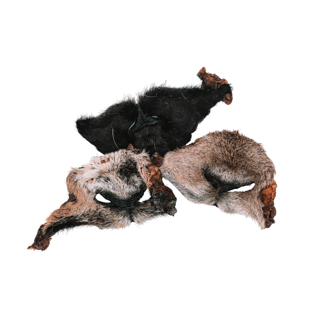 Dehydrated Goat Snouts (Fur-On)