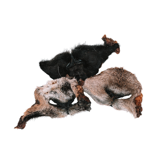 Dehydrated Goat Snouts (Fur-On)