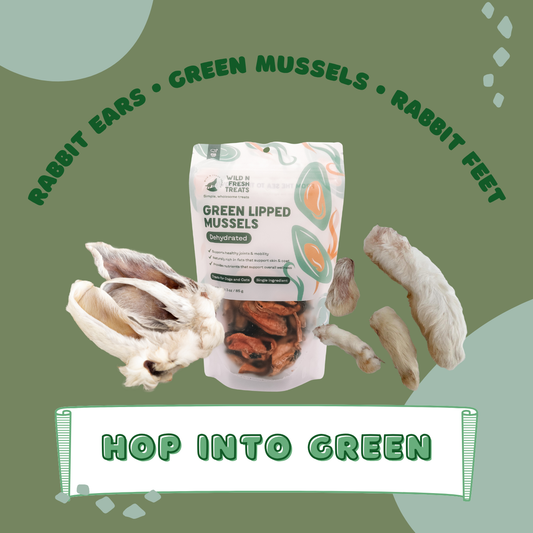 Hop Into Green Bundle