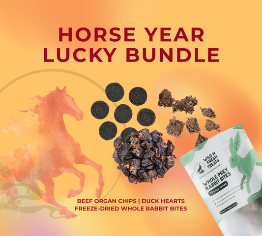 Horse Year Lucky Bundle - Lunar New Year 2026