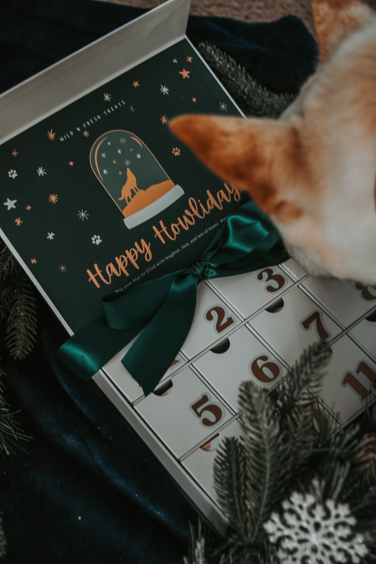 Holiday Advent Calendar