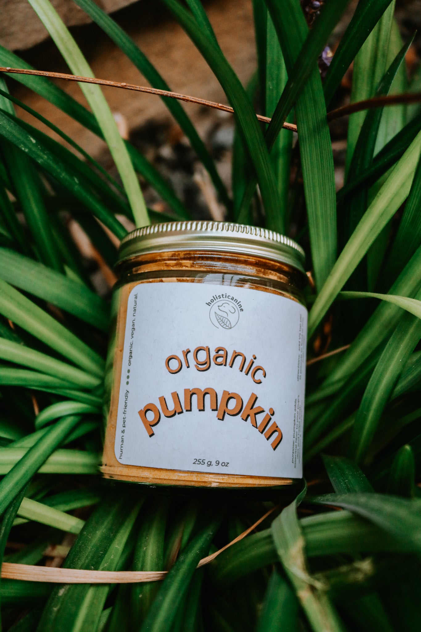 Holisticanine Organic Pumpkin | Digestive & Fiber Supplement
