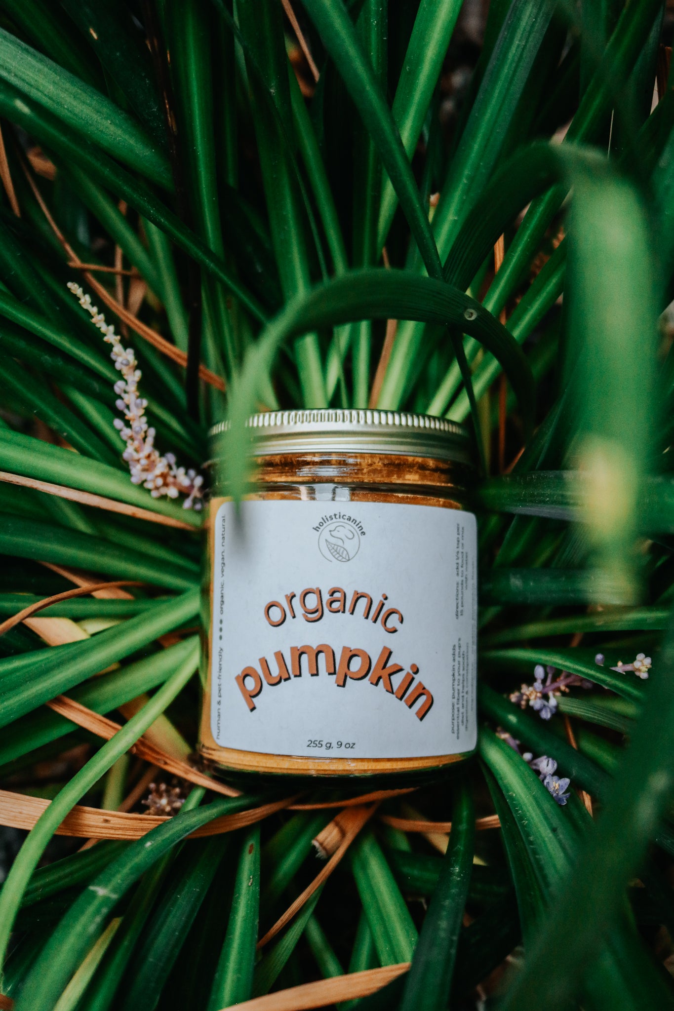 Holisticanine Organic Pumpkin | Digestive & Fiber Supplement