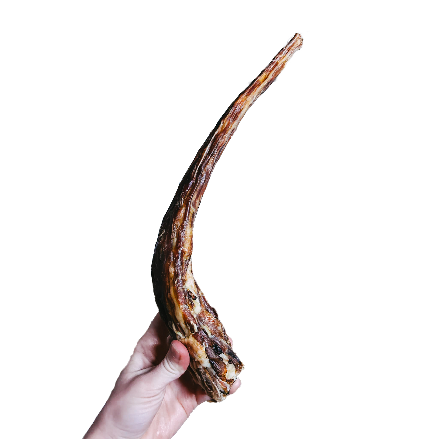 Dehydrated Veal Tails