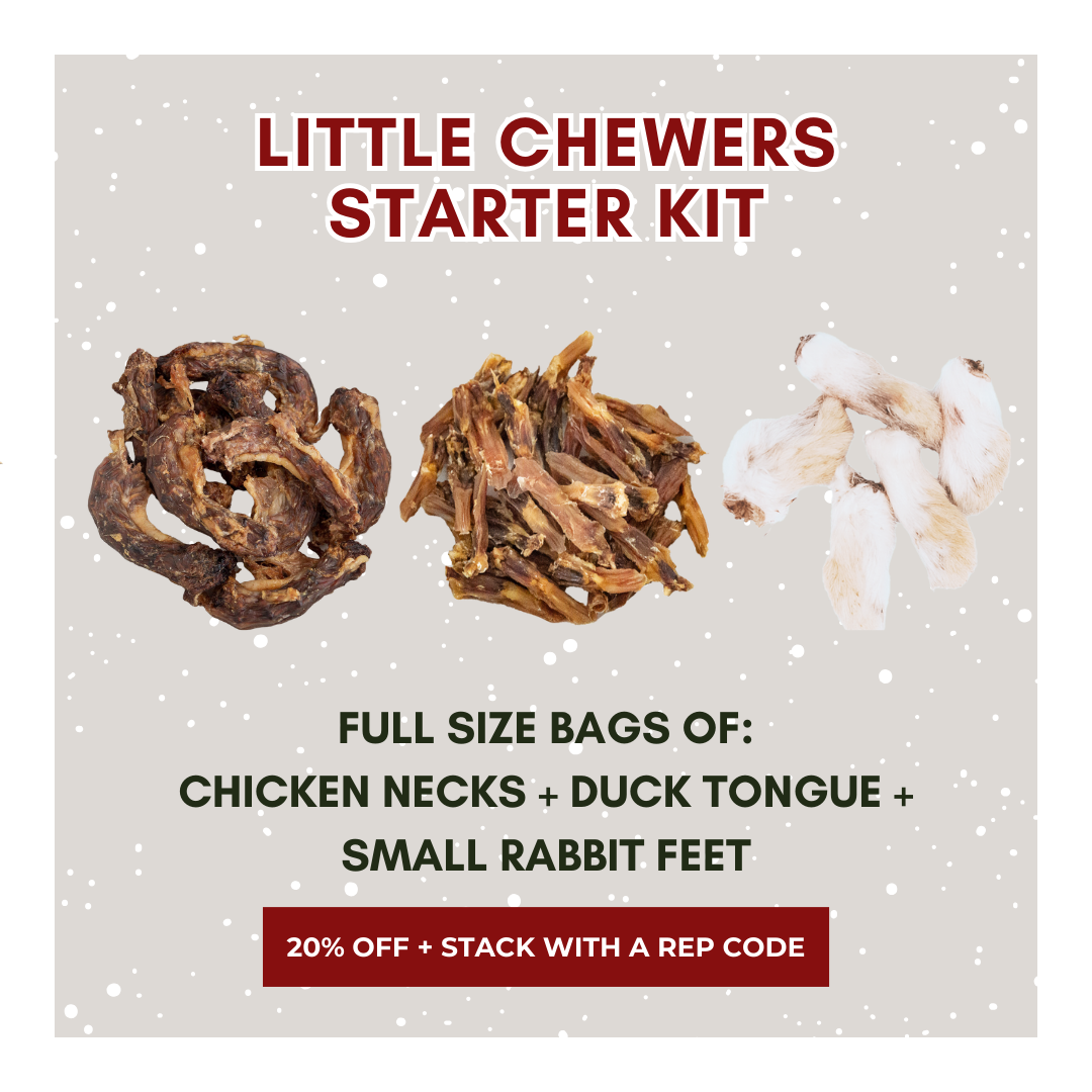 Little Chewers Starter Kit