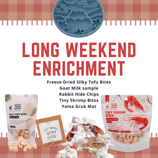 Long Weekend Enrichment Pack