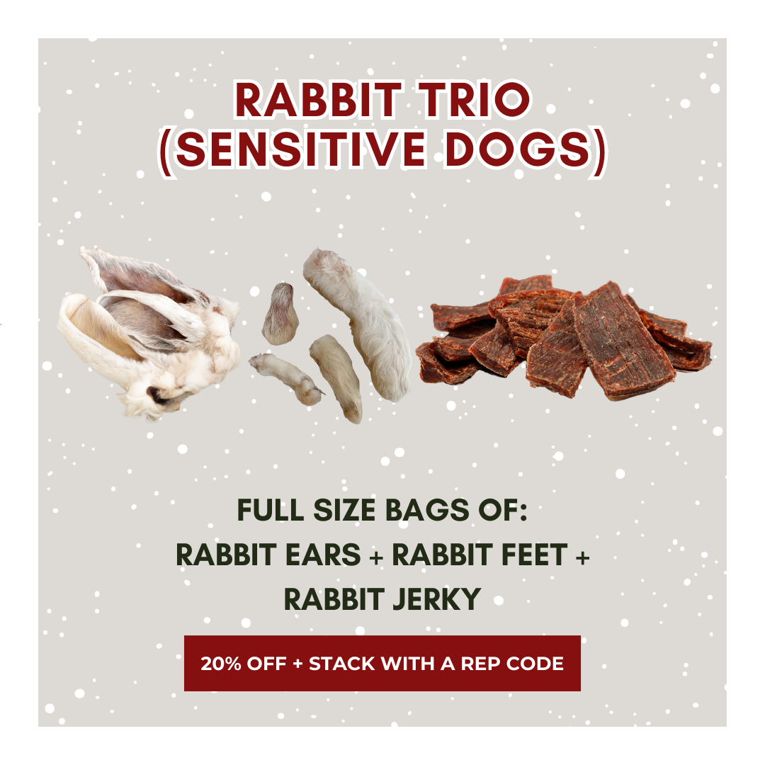 Rabbit Trio (Sensitive Dogs)