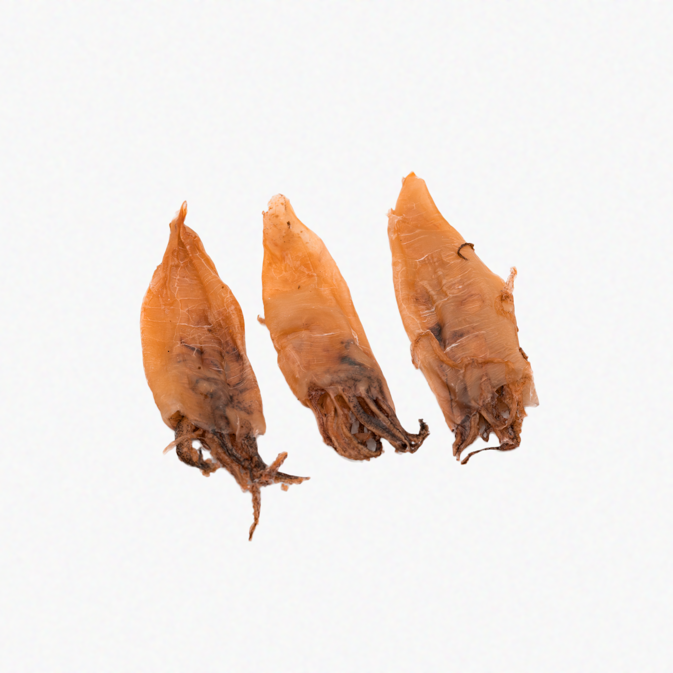 Dehydrated Squid (Wild Caught) Wild n Fresh Treats