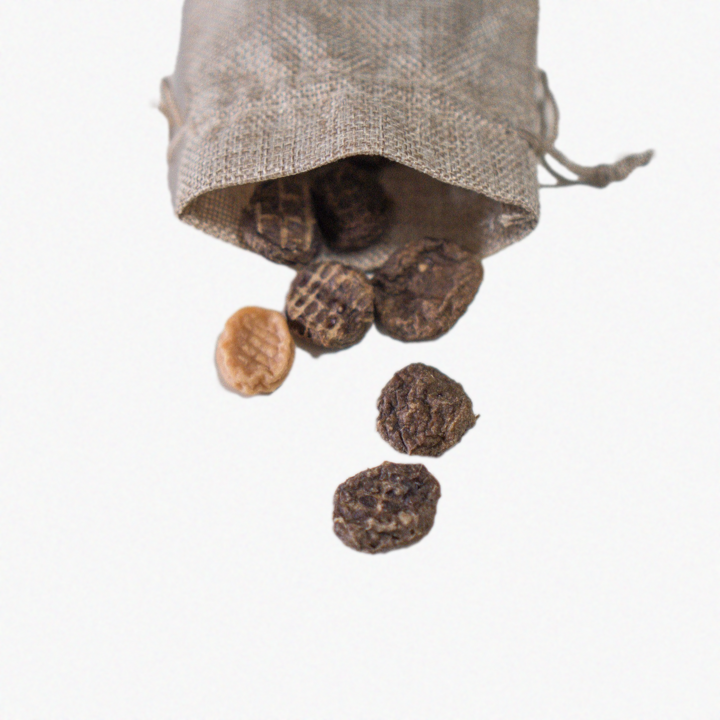 Dehydrated Venison Bites