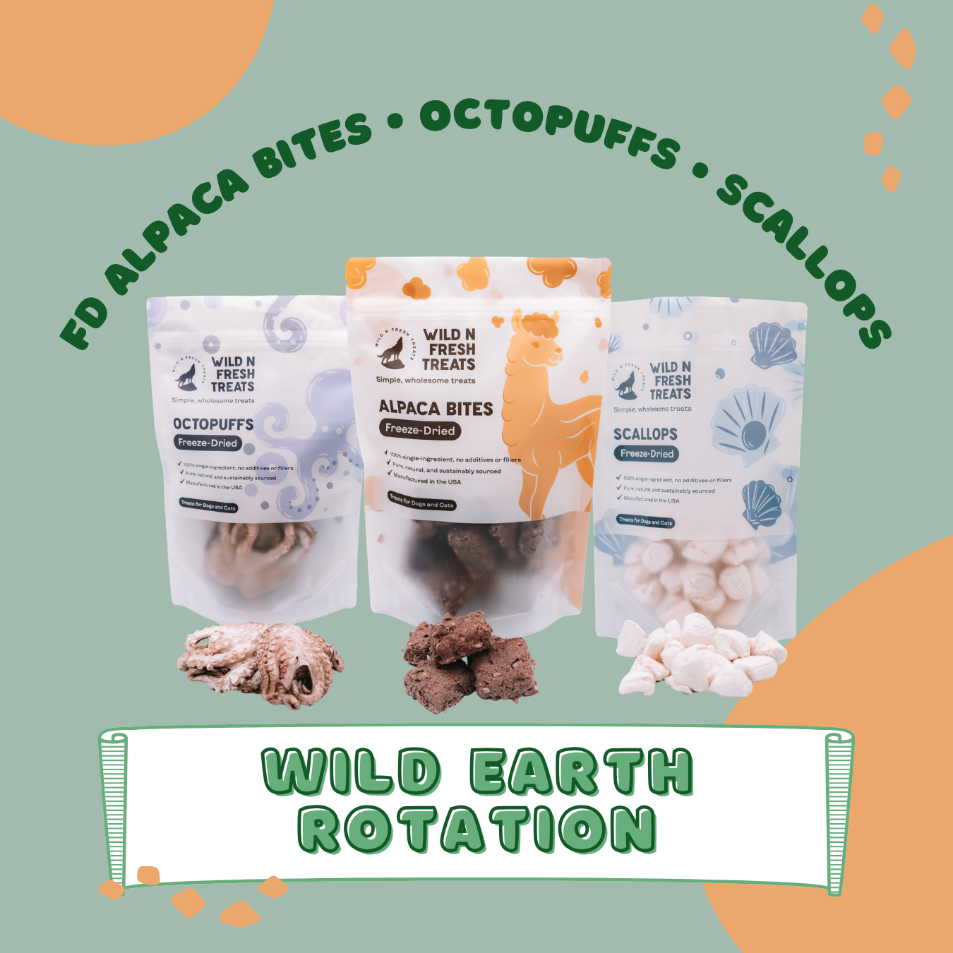Wild Earth Rotation