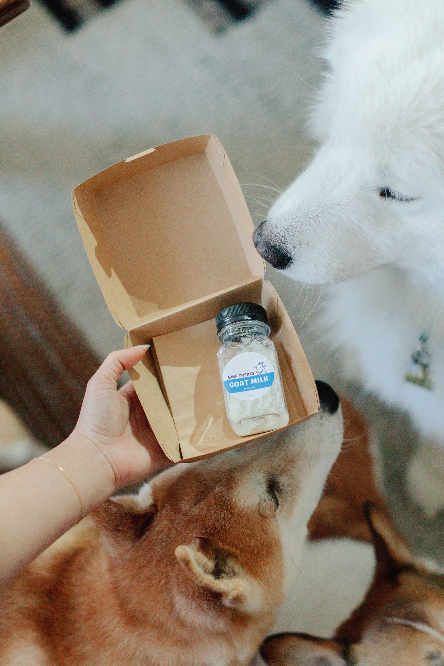 Woof Meal Fast Food Grab Bag