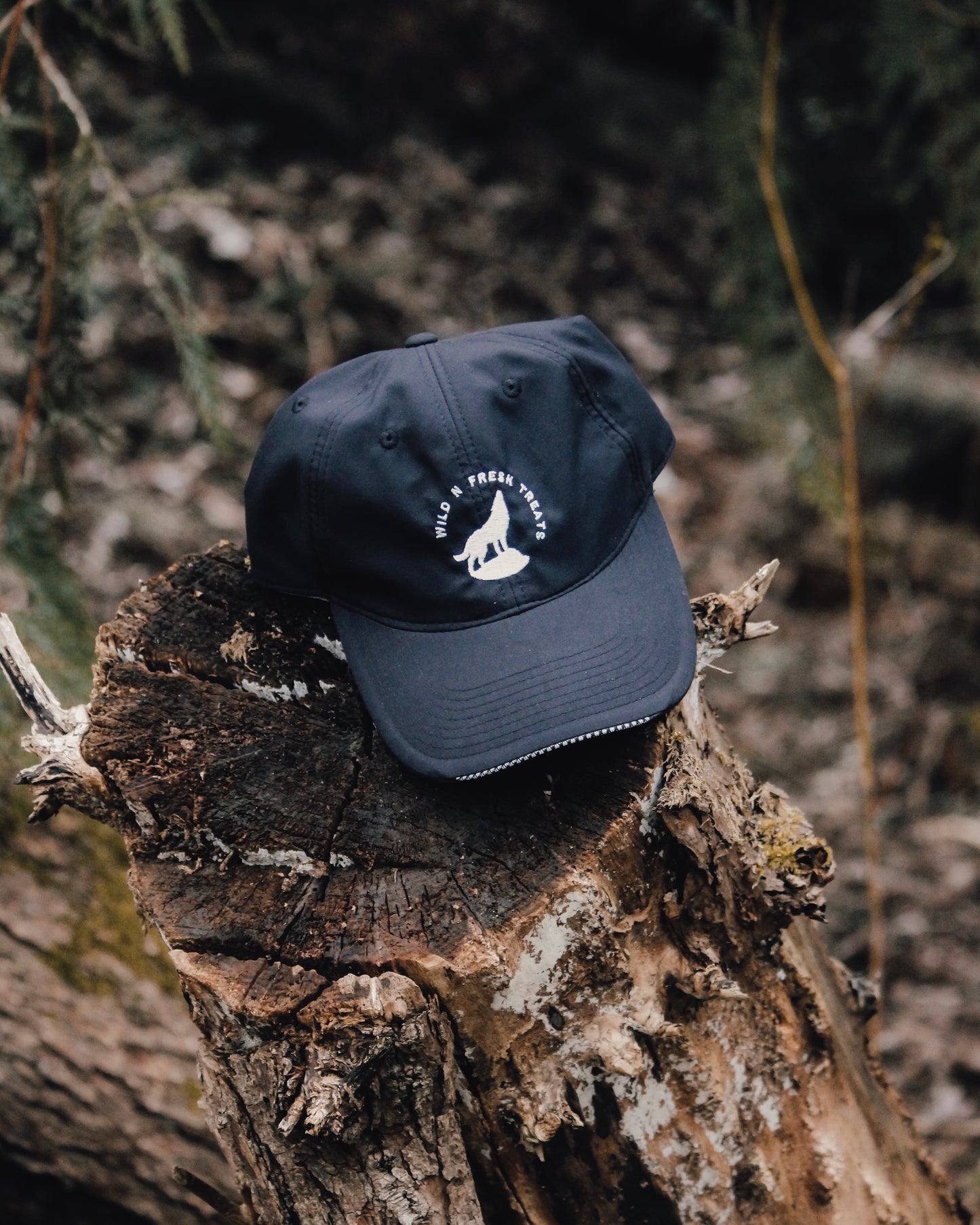 Wild n Fresh Treats Embroidered Logo Cap