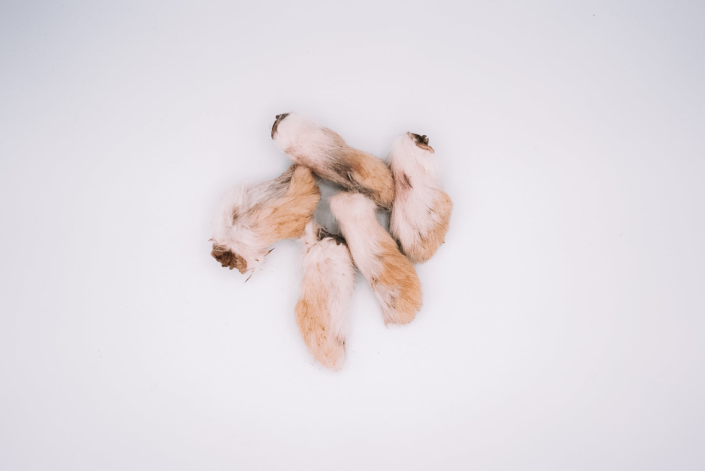 Dehydrated Rabbit Feet