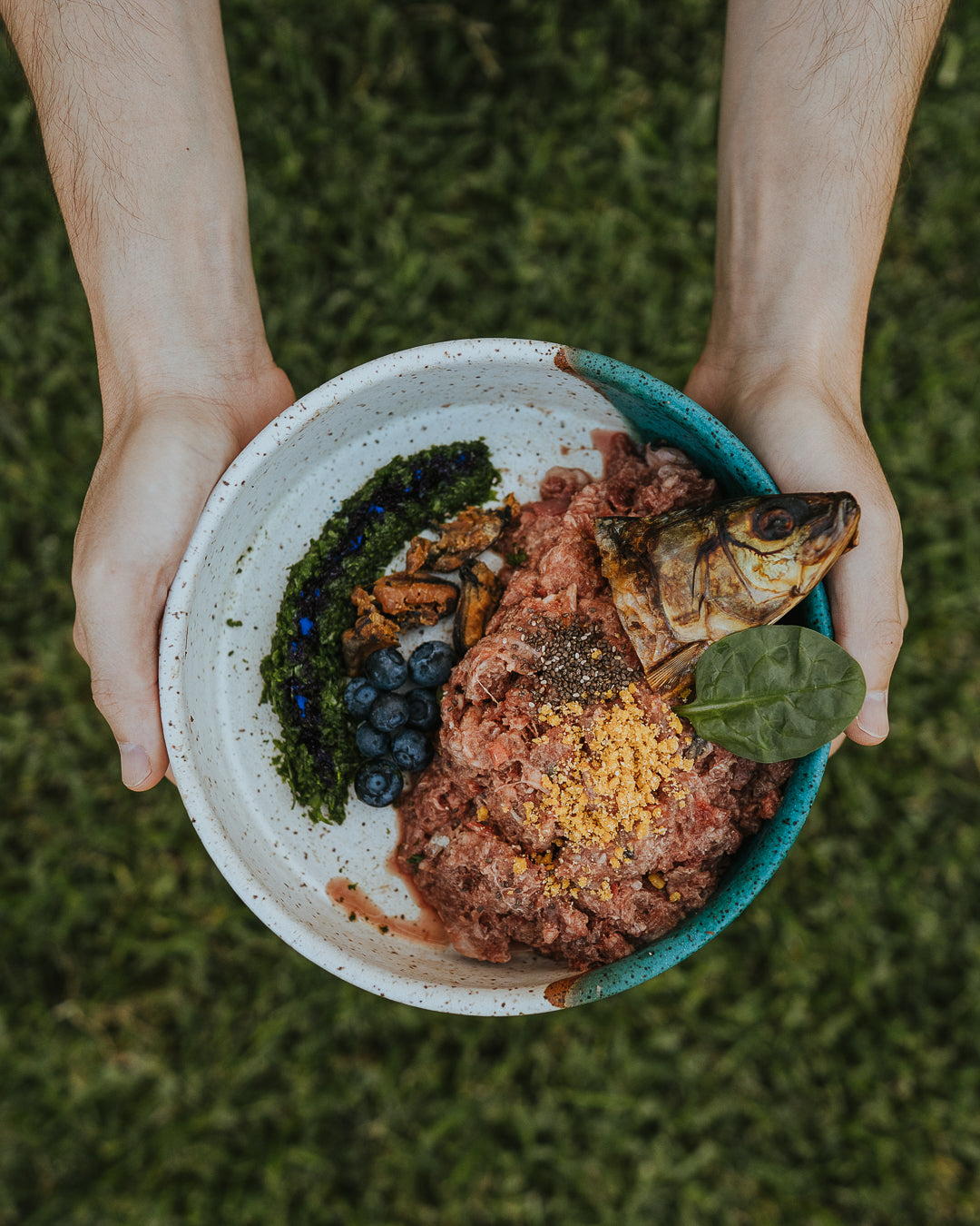 Wild n Fresh Treats x KJ Pottery Dog Bowl