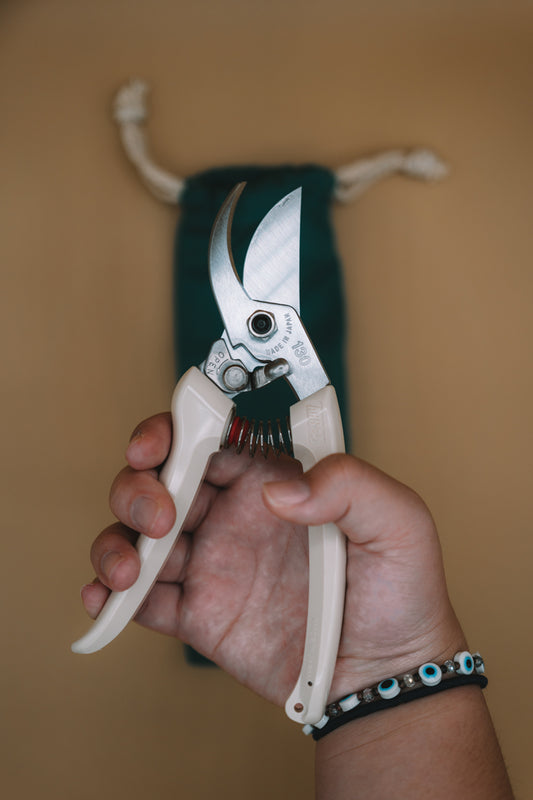 Treat Cutting Shears - Ivory