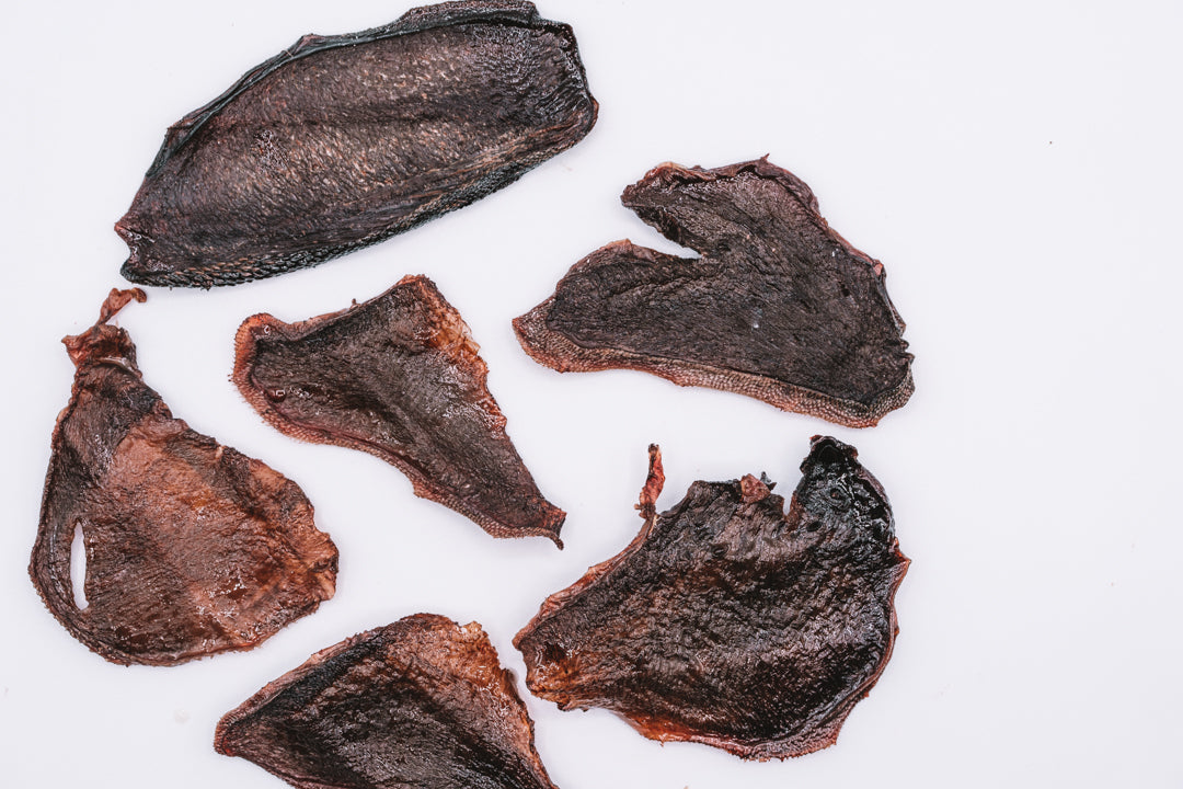 Dehydrated Bison Tongue