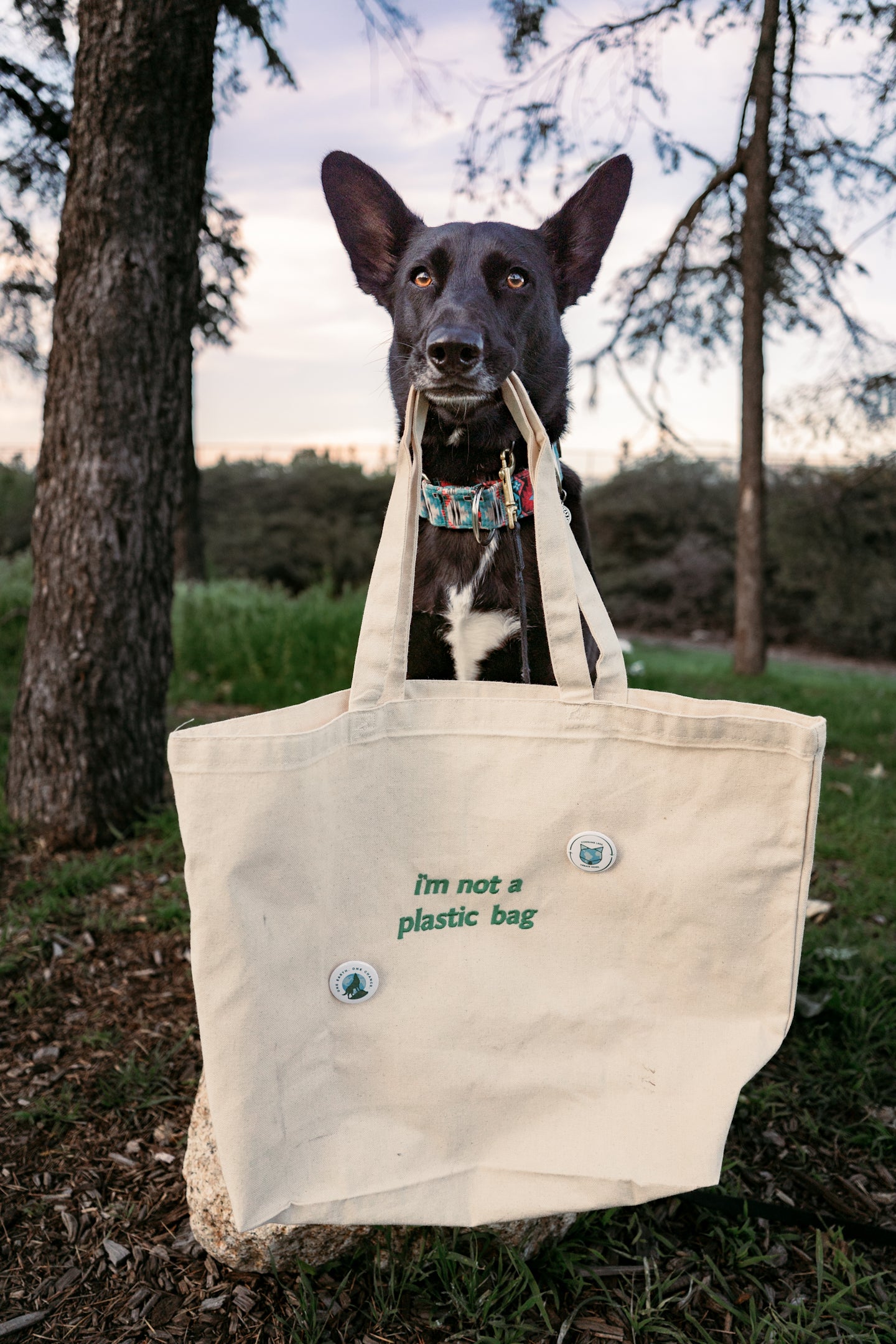 Not a Plastic Bag Tote