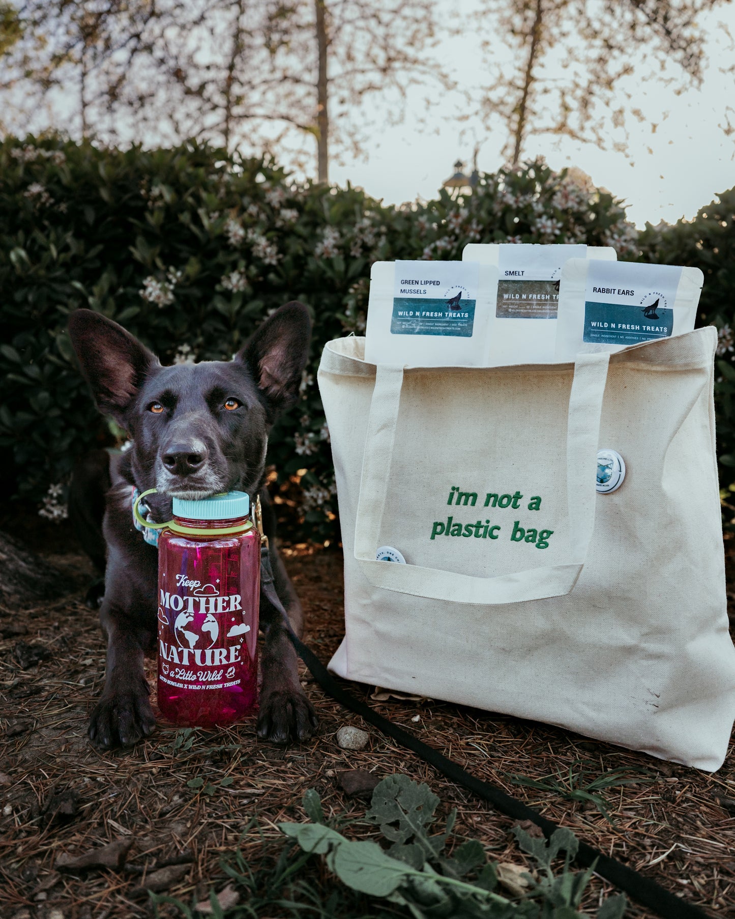 Not a Plastic Bag Tote