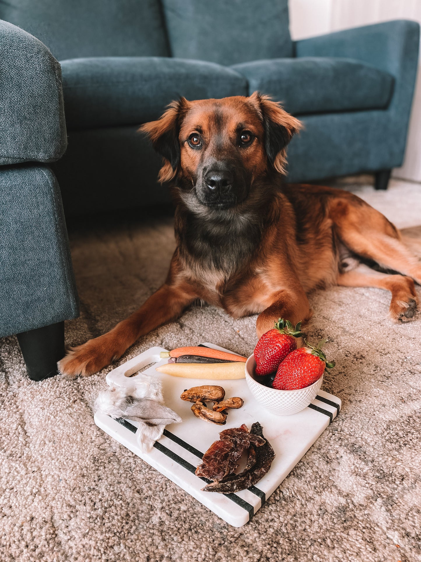Dehydrated Beef Spleen
