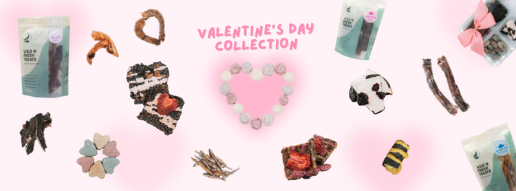 Valentine's Day