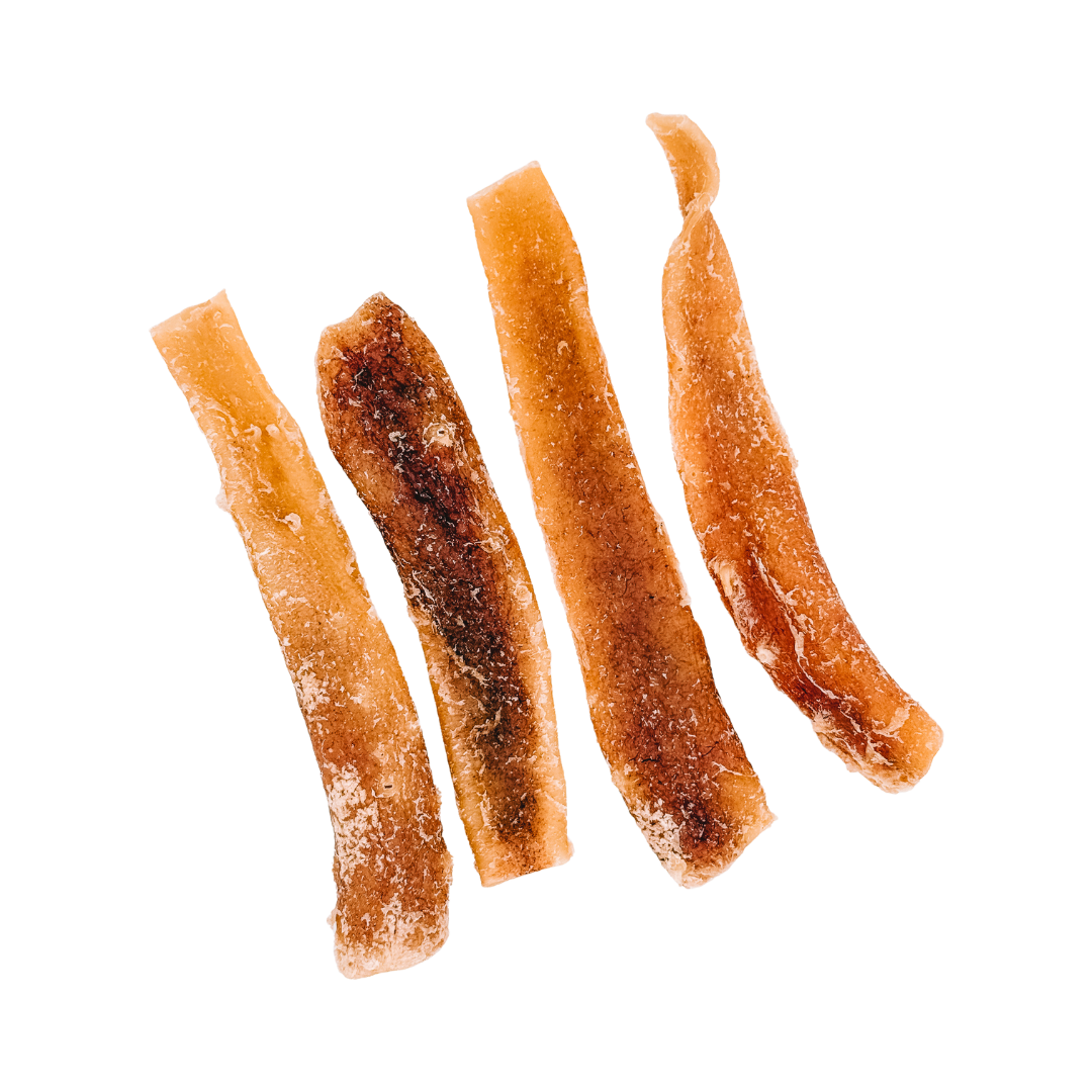 Dehydrated Beef Aorta