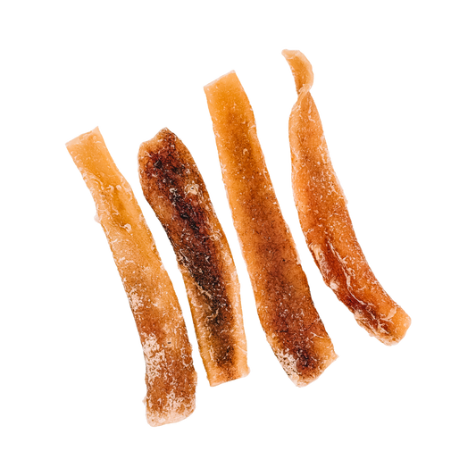 Dehydrated Beef Aorta