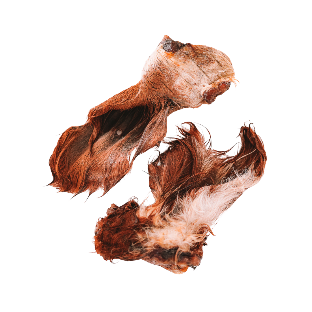 Dehydrated Beef Ears with Hair