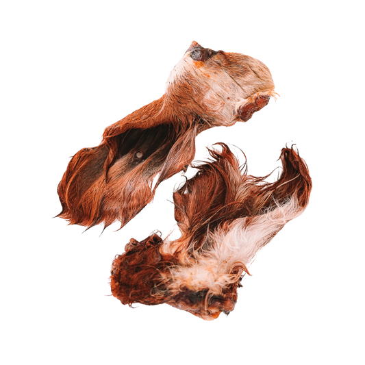 Dehydrated Beef Ears with Hair