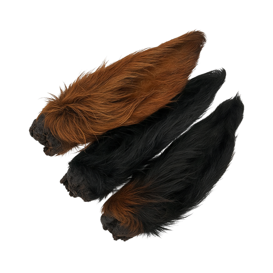 Dehydrated Beef Ears with Hair