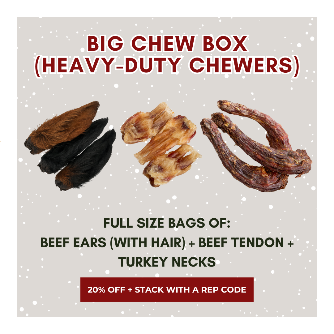 Big Chew Box (Heavy-Duty Chewers)