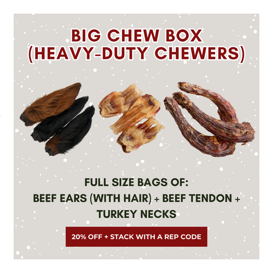 Big Chew Box (Heavy-Duty Chewers)