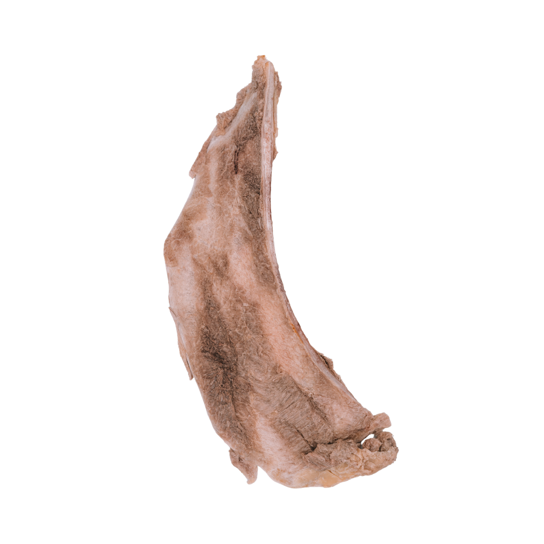 Freeze-Dried Bison Scapula (Limited Chew)