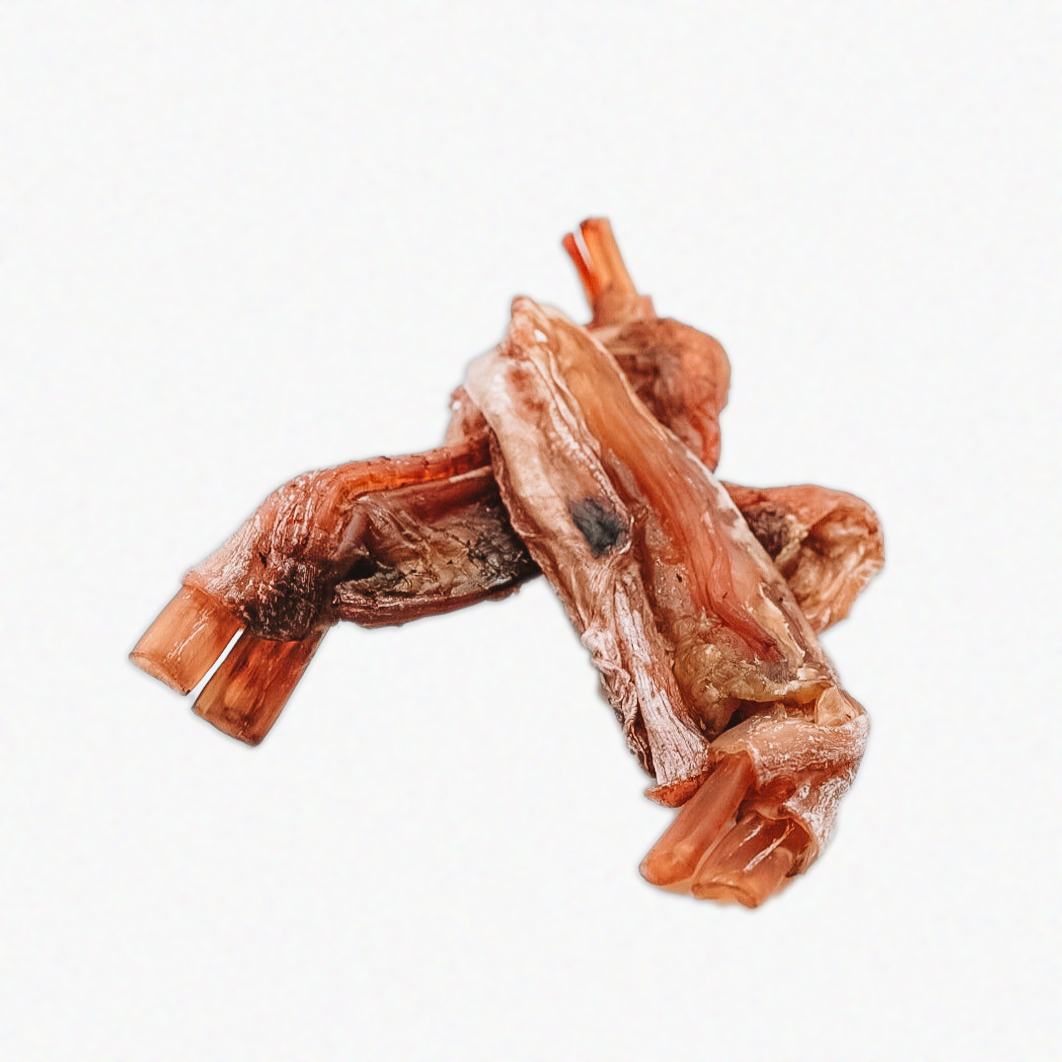 Dehydrated Bison Tendons