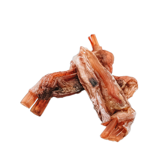 Dehydrated Bison Tendons