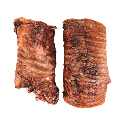 Dehydrated Bison Trachea