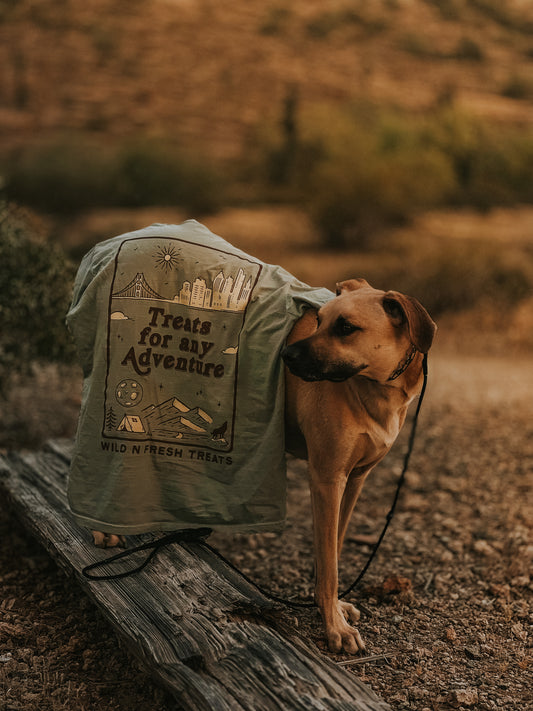 Treats For Any Adventure Tee