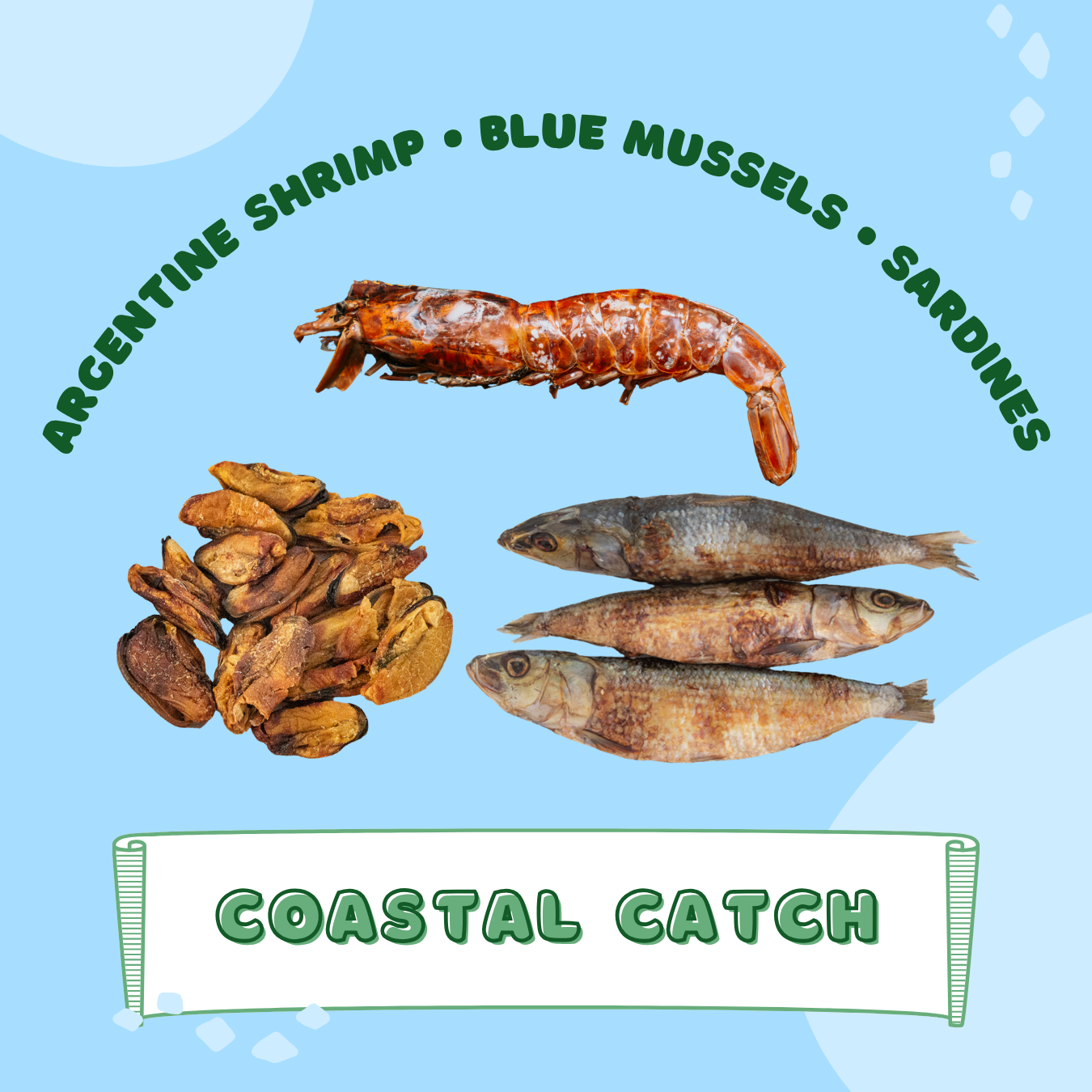 Coastal Catch Bundle