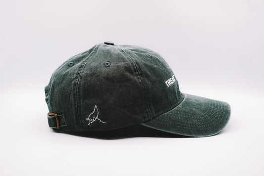 Treat Dispenser Embroidered Cap - Spruce