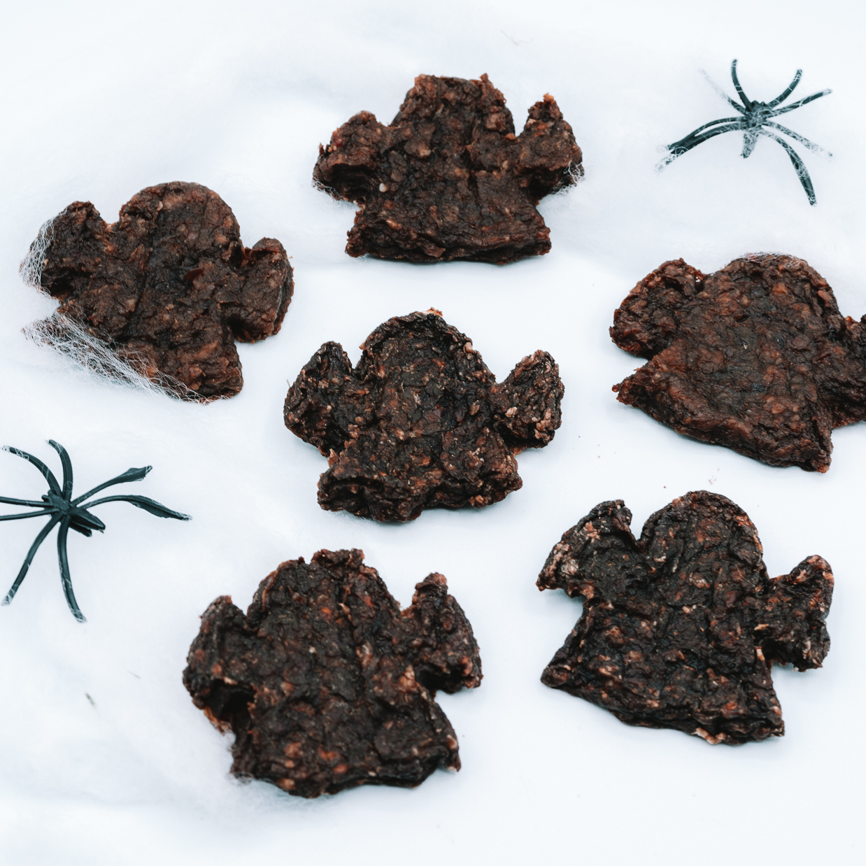 Dehydrated Spooky Bison Patties