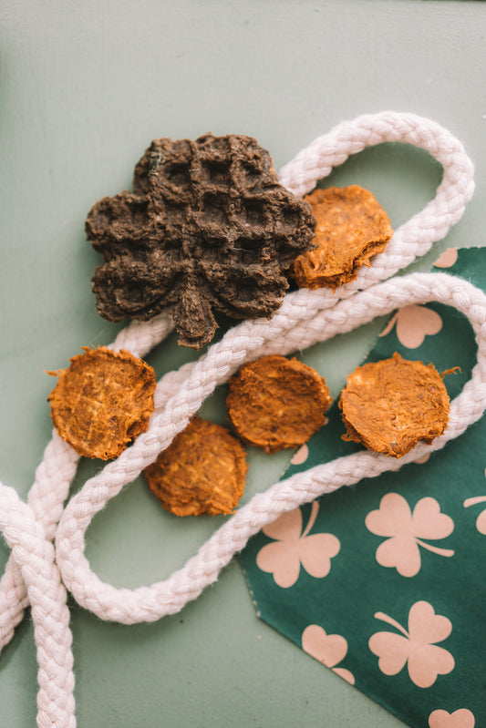 Lucky Bites: St. Paddy’s Feast - St. Patrick’s Day
