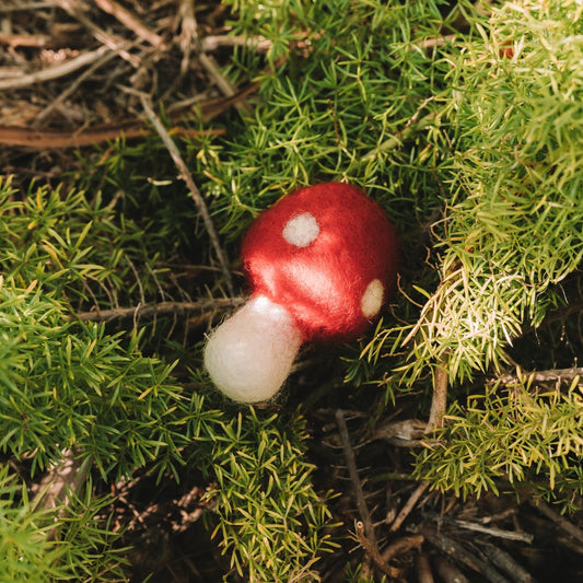 Red Amanita Mushrooms Eco Toys/Fresheners - Earth Month