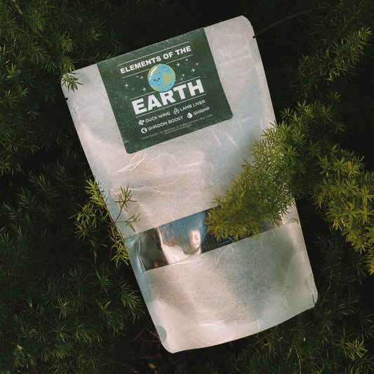 Elements of the Earth Grab Bag - Earth Month