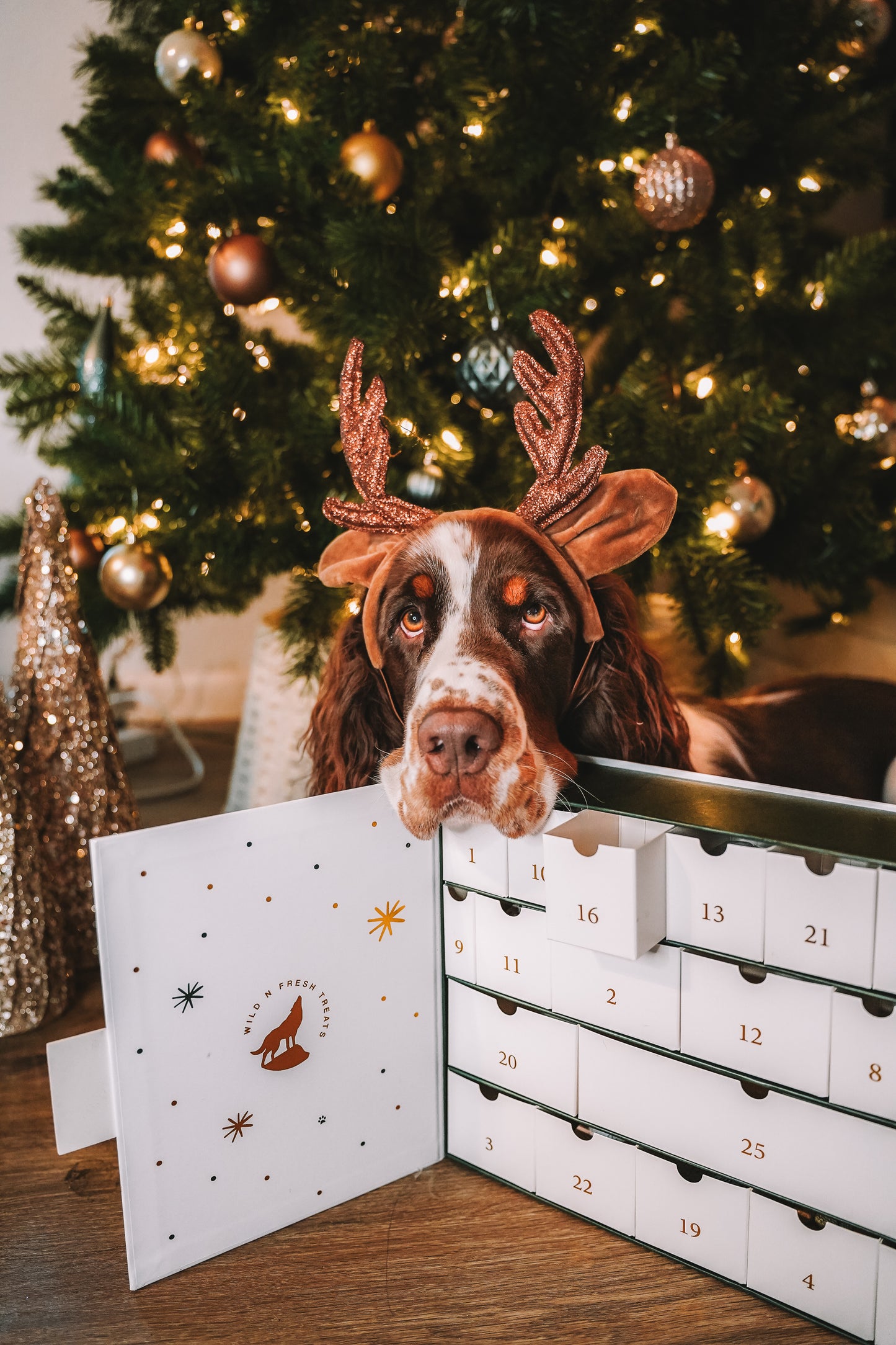 2025 Holiday Advent Calendar (MADE TO ORDER)